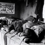 16 ảnh gây ngỡ ngàng cuối nhà Thanh: Bé gái làm con dâu từ 4 tuổi, thiếu nữ luyện võ trái ngược phim ảnh avatar1767799731669 17677997320021391648085png