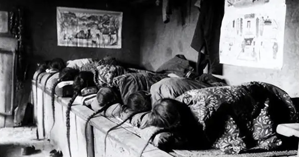 16 ảnh gây ngỡ ngàng cuối nhà Thanh: Bé gái làm con dâu từ 4 tuổi, thiếu nữ luyện võ trái ngược phim ảnh avatar1767799731669 17677997320021391648085png