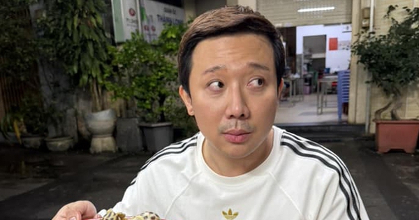 Trấn Thành bị bắt quả tang lúc 2 giờ sáng avatar1767830061235 17678300614851133298599 0 0 314 600 crop 17678303972071193971000jpg