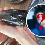 Nam ca sĩ lộ cánh tay chỉ còn "da bọc xương", fan phát hoảng avatar1767839541997 17678395424691717723120 0 0 307 587 crop 1767839640881632021082jpg