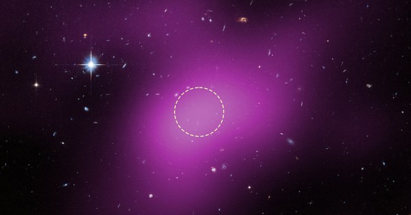 Phát hiện loại vật thể thiên văn mới: RELHIC avatar1767842505921 1767842506315125091409jpg 1