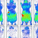 Con người thực sự đang phát sáng và sẽ tối lại sau khi chết avatar1767849932325 17678499327131640502379jpg