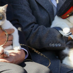 Nhật Bản phong tặng chức trưởng ga tàu cho mèo avatar1767877623915 17678776241581649477635png