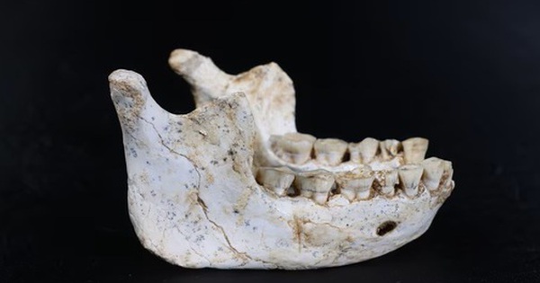 Tổ tiên loài người hiện đại vừa xuất hiện ở Casablanca? avatar1767932249345 17679322499321009408998 0 41 315 545 crop 17679322605941537409642jpg