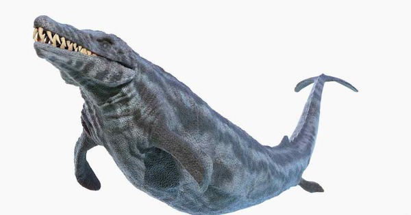 Thung lũng cá voi ở Ai Cập hé lộ hành trình tiến hóa kỳ lạ khi cá voi từng có chân và sống trên đất liền avatar1767965181191 17679651814121922142556jpg