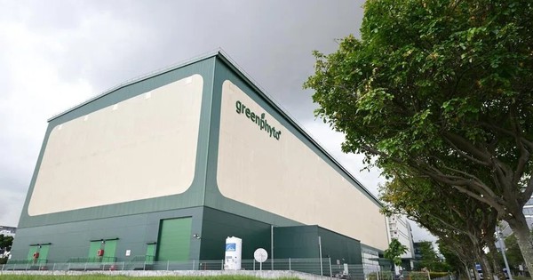 'Chung cư trồng rau' cao nhất thế giới ngay gần Việt Nam: rộng 2ha, công suất 2.000 tấn rau/năm, vận hành chỉn chu ngang nhà máy công nghệ cao avatar1768050957723 17680509580131833138050jpg