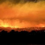 Australia ban bố tình trạng thảm họa về cháy rừng avatar1768126369834 17681263705181027951634jpg