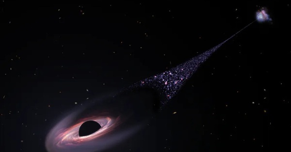 Loại vật thể chưa từng thấy vừa lướt qua kính viễn vọng avatar1768192423074 1768192423552501493709jpg