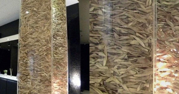 Bức ảnh khiến nhiều người sởn gai ốc tại 1 phòng khám phẫu thuật thẩm mỹ khu Gangnam Hàn Quốc avatar1768214042899 17682140433531320310841jpg