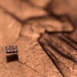 Robot siêu nhỏ biết bơi, tự suy nghĩ và hành động avatar1768275599177 1768275599647519109220jpg