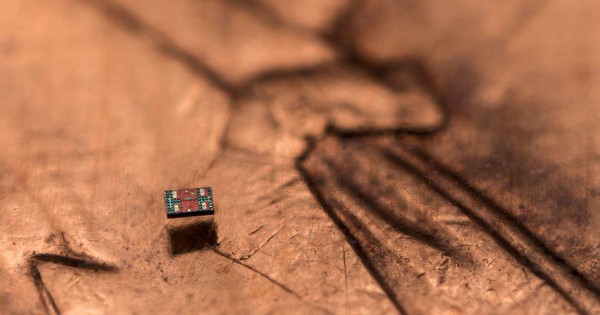 Robot siêu nhỏ biết bơi, tự suy nghĩ và hành động avatar1768275599177 1768275599647519109220jpg