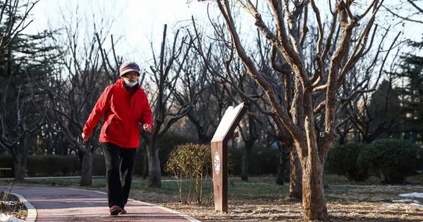 "Này, còn sống không?": Ứng dụng hỏi thăm mỗi ngày và nỗi lòng của những người trẻ chọn lối sống "độc thân toàn thời gian" avatar1768362356417 1768362356930461864224jpg