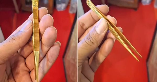 Mang nhíp vàng đi kiểm tra, người đàn ông sốc nặng khi bán được 100 triệu đồng avatar1768366446047 17683664463531432800275jpg