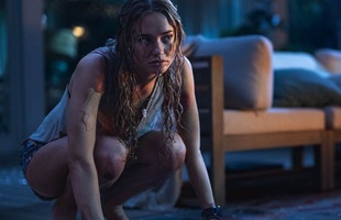 Phim kinh dị lấy cảm hứng từ Stephen King, hé lộ cuộc thảm sát đẫm máu của loài thú nuôi bị dại avatar1768445727214 17684457274551179988568jpg