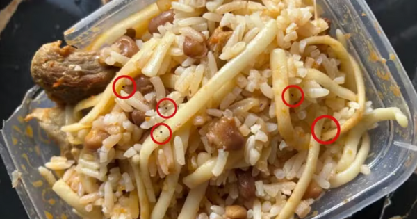 Bị cấm gặp bạn trai, cô gái 17 tuổi rắc thuốc diệt chuột vào bữa tối của bố mẹ avatar1768540695106 1768540695480403539745png