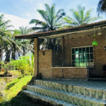 Chưa già đã kiệt sức, giới trẻ Malaysia đổ xô đến 'nhà dưỡng lão' avatar1768553591977 17685535926301766559033png