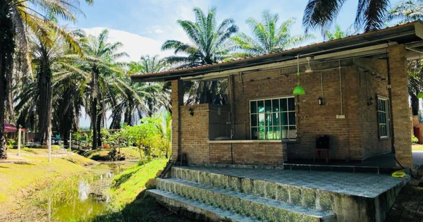 Chưa già đã kiệt sức, giới trẻ Malaysia đổ xô đến 'nhà dưỡng lão' avatar1768553591977 17685535926301766559033png