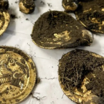 Đang đi chơi, người đàn ông nhặt được "kho báu" vàng avatar1768639980089 1768639980769224933713png