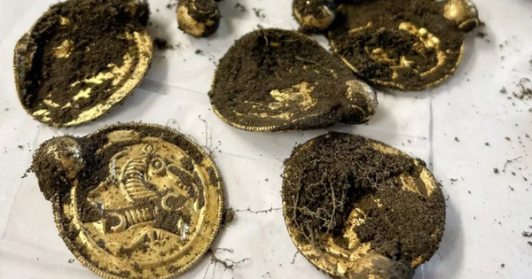 Đang đi chơi, người đàn ông nhặt được "kho báu" vàng avatar1768639980089 1768639980769224933713png