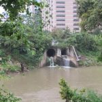 Hơn 30 thi thể vớt từ sông rạch Houston, gây lo ngại về kẻ giết người hàng loạt avatar1768642836770 17686428372881623931067jpeg