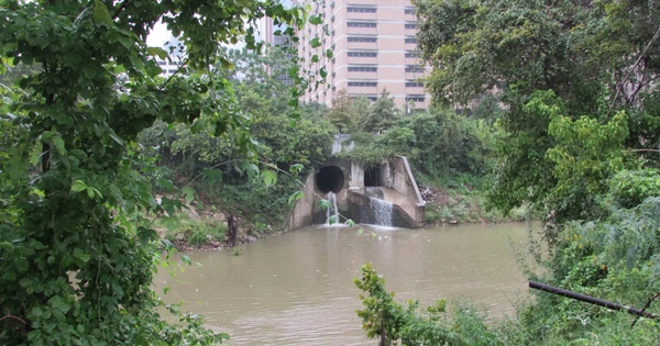 Hơn 30 thi thể vớt từ sông rạch Houston, gây lo ngại về kẻ giết người hàng loạt avatar1768642836770 17686428372881623931067jpeg