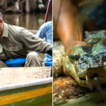 Will Smith chạm trán nghẹt thở với loài rắn khổng lồ mới ở Amazon: Dài tới 5m, cơ thể dày ngang thân cây avatar1768646526498 1768646526684892911707png