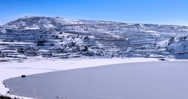 Phát hiện trữ lượng khoáng sản lớn, gần như “không cạn kiệt” trong 1 khu rừng rậm, đủ cung cấp năng lượng cho hàng triệu xe điện avatar1768722618404 1768722618766994725592jpg