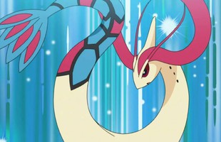 Từ Magikarp đến thần biển Kyogre: Top những Pokémon hệ Nước huyền thoại mà mọi trainer đều khao khát avatar1768809579434 17688095798641554307519jpg
