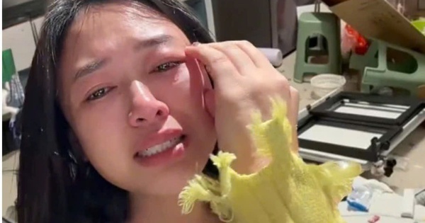 Vợ mua máy rửa bát hơn 5.000.000 đồng không xin phép, chồng nổi cơn thịnh nộ đập phá nhà cửa tan hoang avatar1768814072276 176881407280796051244jpg