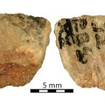 Bí mật rùng mình về “siêu vũ khí” 60.000 năm trước avatar1768901105221 176890110580557901304jpg