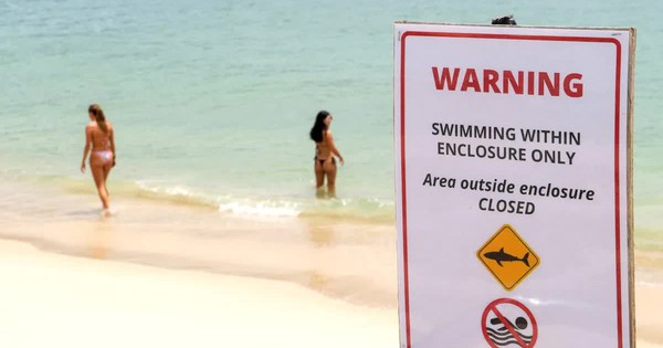 Cá mập tấn công người liên tiếp, Australia đóng cửa 40 bãi biển avatar1768913471255 17689134716161431675693jpg