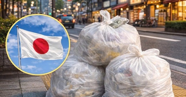 Bác lao công bất ngờ nhặt được hơn 2,9 tỷ đồng trong túi rác avatar1768968048128 1768968048470828300191jpg