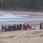 Kinh hoàng cảnh người đàn ông bị cá mập tấn công và cuốn trôi tại bãi biển du lịch avatar1768983196264 1768983196887336914774jpg