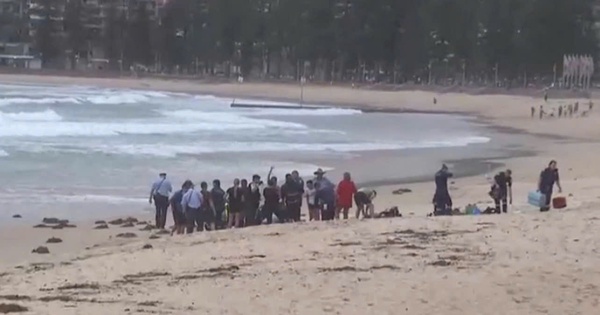 Kinh hoàng cảnh người đàn ông bị cá mập tấn công và cuốn trôi tại bãi biển du lịch avatar1768983196264 1768983196887336914774jpg