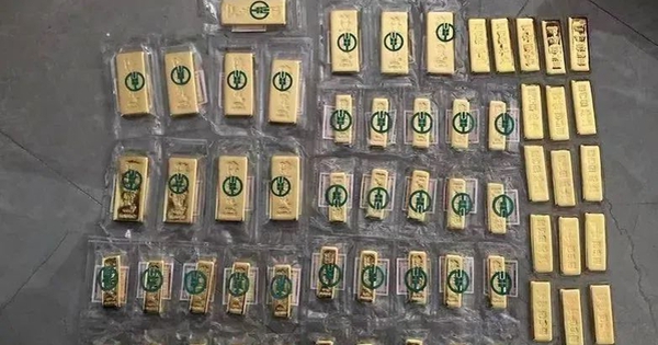 Phát hiện 38kg vàng trị giá hơn 56 tỷ đồng nằm rải rác trong căn hộ chuyên bán hàng livestream avatar1768987203612 17689872039172132589980jpg