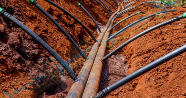 "Phát minh thế kỷ" của Israel rung chuyển thế giới, làm bùng nổ thị trường gần 10 tỷ USD avatar1768988094805 17689880954431246407173png