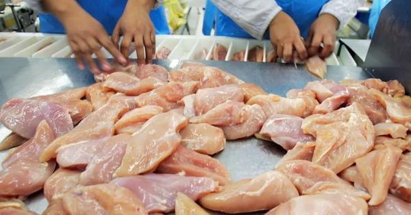 Mỹ thu hồi thịt gà tại 7 tiểu bang do nghi ngờ nhiễm khuẩn listeria avatar1769007271772 17690072721302012620652png