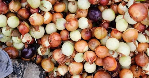 Hàng nghìn túi khoai tây chiên và hành tây trôi dạt vào bờ biển Anh avatar1769074318182 17690743184971597388940png