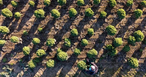 Thế giới bước vào kỷ nguyên “phá sản nguồn nước” avatar1769074374701 17690743751121939450666jpg