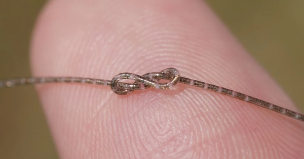 Phát minh như khoa học viễn tưởng của Trung Quốc làm chấn động ngành công nghệ: Chip mảnh hơn sợi tóc người, dệt trực tiếp vào vải vẫn xử lý như vi mạch avatar1769233401305 1769233401628430013423png