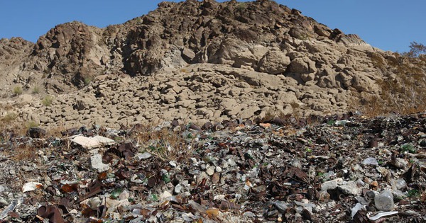 Từ bãi chôn lấp, mỗi ngày 100 tấn rác được biến thành "món ngon" nuôi ngành kinh tế trăm triệu USD avatar1769246825637 1769246825942505740400jpg