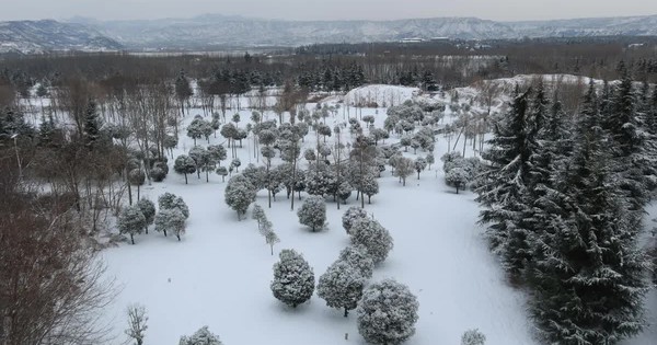 Không khí lạnh ảnh hưởng nhiều khu vực tại Trung Quốc avatar1769302313975 17693023142241643262592jpg