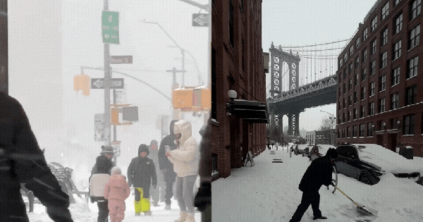 Toàn cảnh bão mùa đông lịch sử càn quét nước Mỹ: Hàng loạt bang ban bố tình trạng khẩn cấp, New York “tê liệt” trong tuyết dày 25cm, ít nhất 5 người tử vong avatar1769404238903 1769404239135104434992gifpng