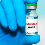 Nipah: Tại sao dịch bệnh có tỷ lệ tử vong 40-75% vẫn chưa có vaccine sau 20 năm phát hiện? avatar1769483338345 1769483338729503477494png
