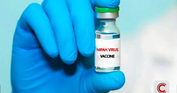 Nipah: Tại sao dịch bệnh có tỷ lệ tử vong 40-75% vẫn chưa có vaccine sau 20 năm phát hiện? avatar1769483338345 1769483338729503477494png