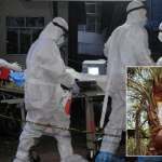 Một thức uống phổ biến trong đám cưới bị nghi là nguồn lây virus Nipah trong ca nhiễm đầu tiên tại Ấn Độ avatar1769521945260 17695219457991346999462png