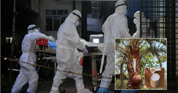 Một thức uống phổ biến trong đám cưới bị nghi là nguồn lây virus Nipah trong ca nhiễm đầu tiên tại Ấn Độ avatar1769521945260 17695219457991346999462png