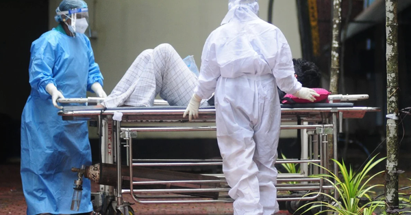 Trung Quốc lo ngại virus Nipah độc lực cao bùng phát trước Tết Nguyên đán avatar1769522972920 17695229737221827505936png