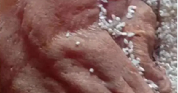 Mở thùng gạo phủ bụi, người đàn ông phát hiện vật thể khô bị lãng quên 50 năm, giá trị ngang căn biệt thự avatar1769586009260 1769586009521669924147 86 0 273 300 crop 1769586040815903331769png