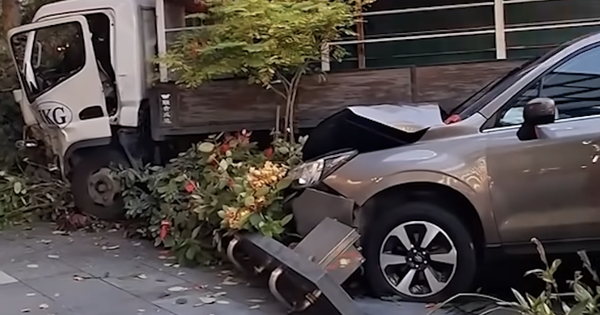 Ô tô mất lái lao vào nhóm người đi bộ trước trung tâm thương mại, 13 người nhập viện avatar1769589638752 1769589639185557696900 157 0 740 932 crop 17695896536982042941777png